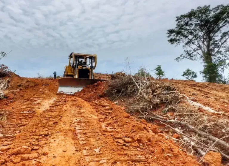 Land clearing work